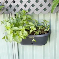 Threaded Hook Neodymium Pot Magnet With Rubber Case - 66mm (D) X 8mm (BH) -AMF Magnetics Shop Screenshot2025 04 30100218