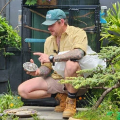 6-Inch Stainless Steel Magnetic Parts Tray & Tool Organizer -AMF Magnetics Shop Screenshot 2025 04 30 113856